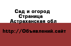  Сад и огород - Страница 2 . Астраханская обл.